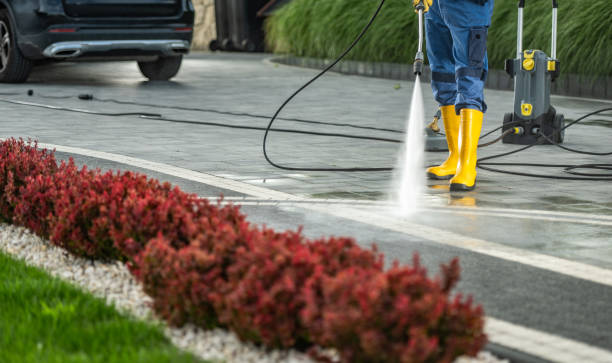 Best Solar Panel Cleaning  in Fate, TX